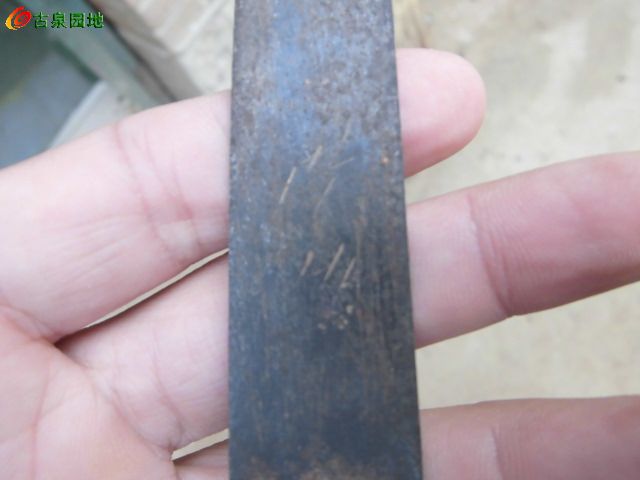 116_64440_c04cad447eec5bb.jpg