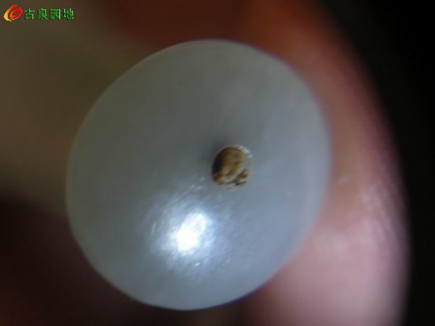 605_101385_c6cf3cbbff69319.jpg