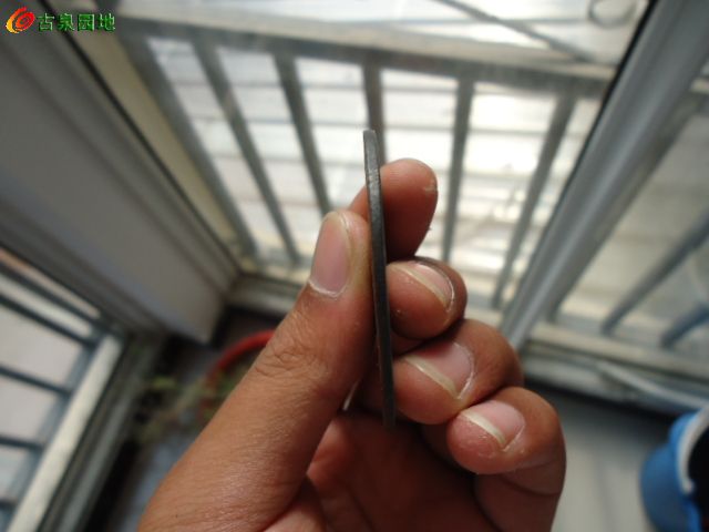4_119638_355460a1ce095bf.jpg
