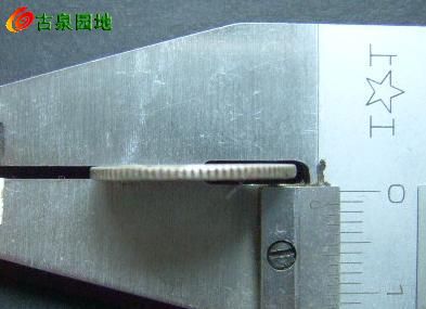 398_31924_e7e963b155fce5c.jpg