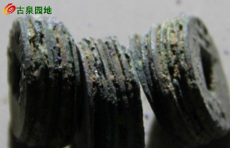 21_83060_9b7fd53714cfddf.jpg