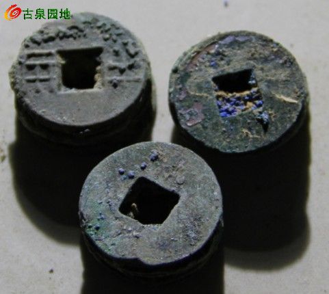 21_83060_dedff4507ddc1f1.jpg