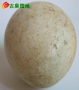 605_31924_4140fc1602489ac.jpg