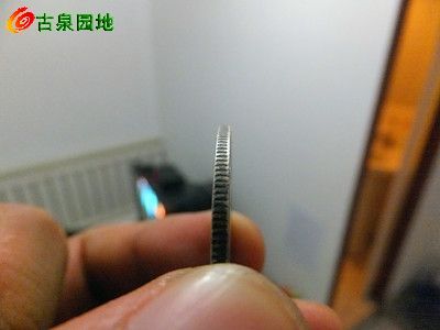 398_41541_06f91aefd6233fa.jpg