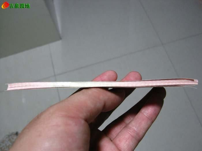 600_1098_ecd5ade48cb56e7.jpg