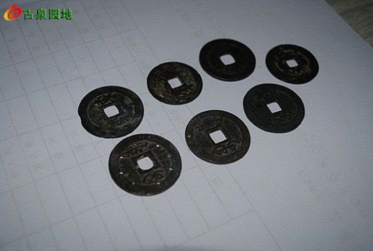 14_133627_1cbad42df8ef13c.jpg