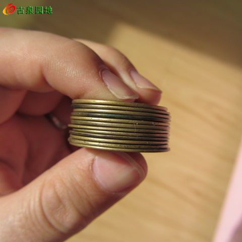 41_131642_271986627db3da2.jpg