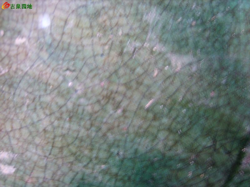 606_56617_d0f03da7fdf515c.jpg