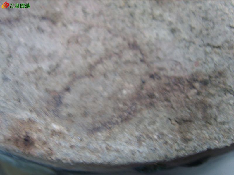 606_56617_d35476d5dacee93.jpg