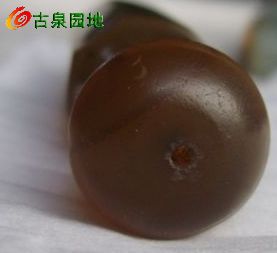 605_56617_2ee94bcc743210f.jpg