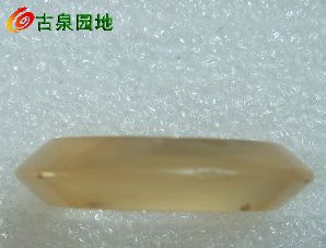 605_31924_2cd107b5c287be2.jpg