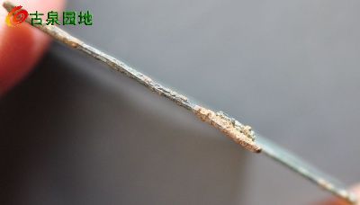 1_1993_7d1bf366c75ed10.jpg