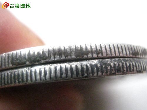 398_53421_1d93f082e310001.jpg