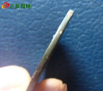 41_62149_101578cc74c82d6.jpg
