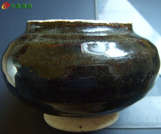 606_31924_8fc1050cb3acddf.jpg
