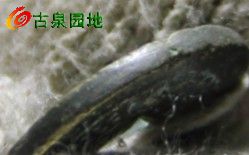 27_83060_3cf62a1e647debc.jpg