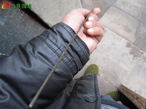 3_34978_d94871d1126f2bb.jpg