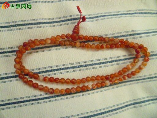 605_76317_808fdf664be0049.jpg