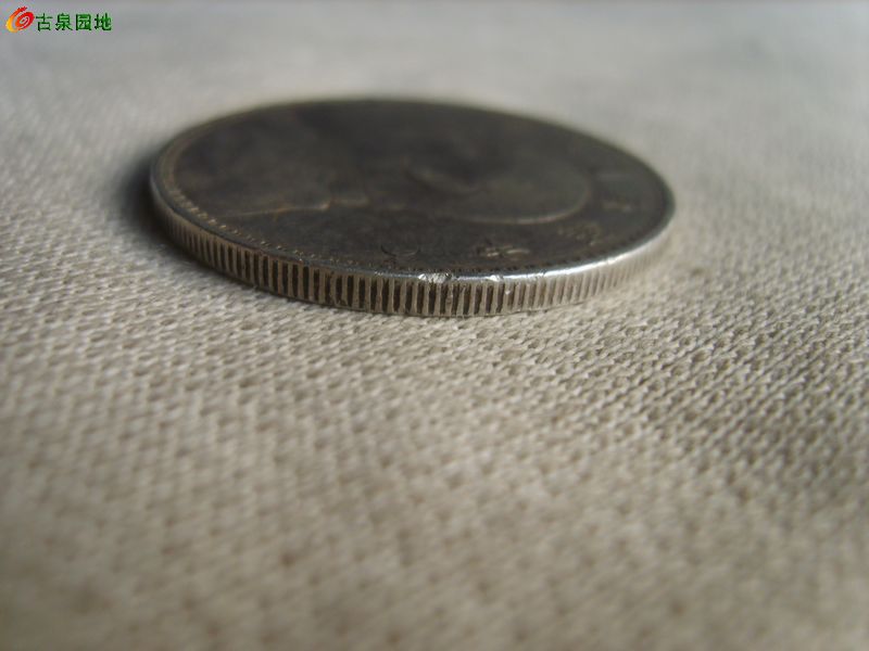 398_56617_fce046592236553.jpg