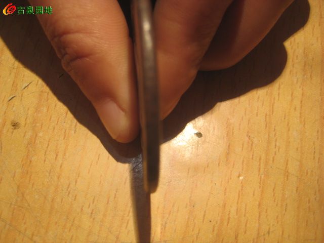 41_144352_3735fb52601eea7.jpg