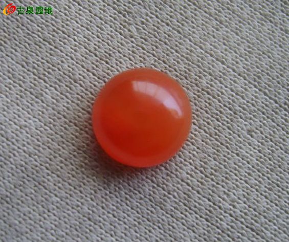 605_56617_c3ea4371ad95efe.jpg