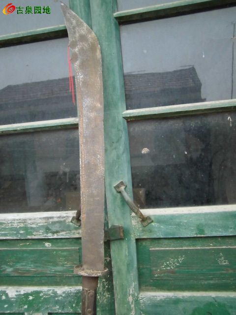 116_64440_8f95fcb9acace2c.jpg