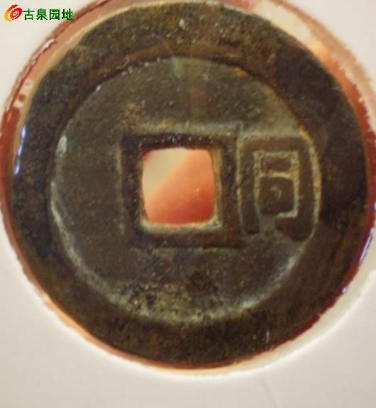 27_62754_dd8c6852dd02645.jpg