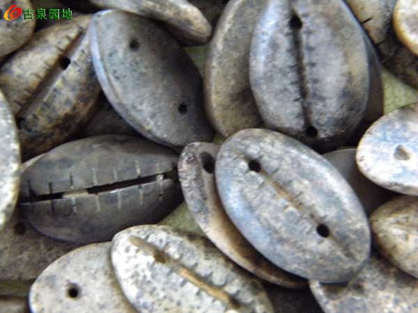 41_42695_fadb798cc62db2b.jpg