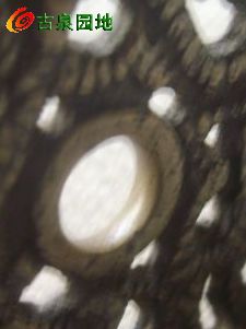 29_56617_d93ab67981635fc.jpg