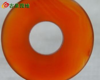 605_56617_b01367691c8f56e.jpg