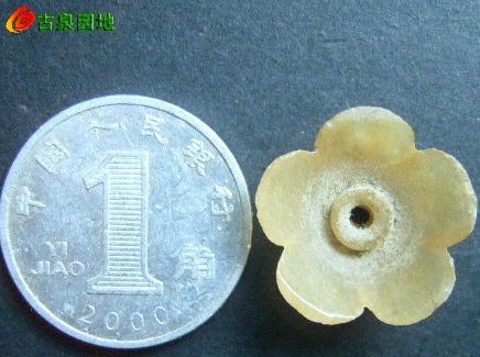 605_31924_5efe7425b4a5a81.jpg