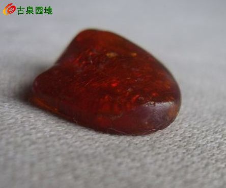 605_56617_891dd4d1fc433ab.jpg