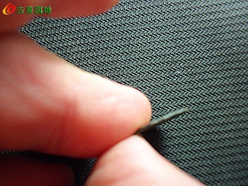27_129707_c6249047b781d95.jpg