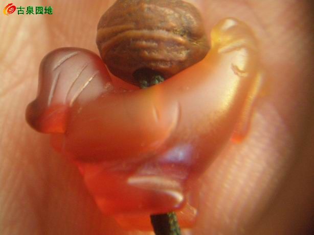 605_101385_780f3dfd3ac62aa.jpg