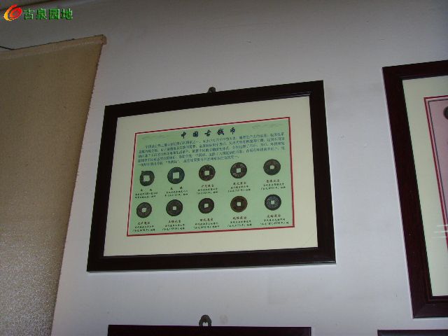 21_30868_97566b477183238.jpg