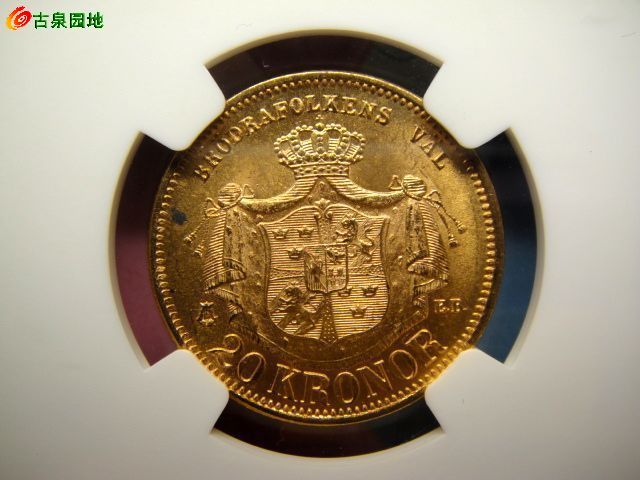 398_68832_25afa03506cbdca.jpg