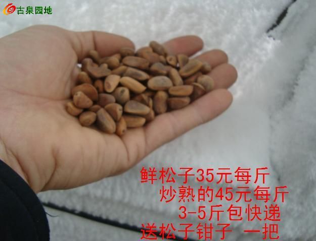 605_46263_fa0bbcf144fff85.jpg