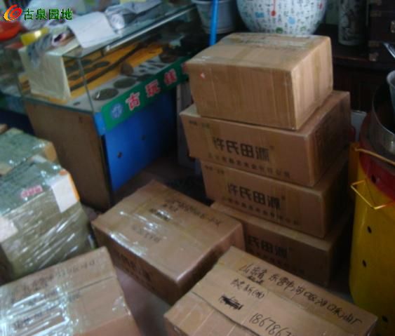605_46263_8ebd620ed4e69da.jpg
