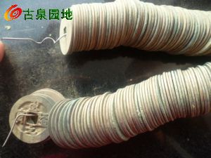 41_134816_f952b646eccddc4.jpg