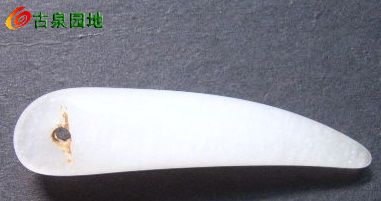 605_31924_b9cf4da55317058.jpg
