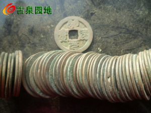 41_134816_05307e438ecc0f6.jpg