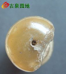 605_31924_e7767ea3cb047e0.jpg
