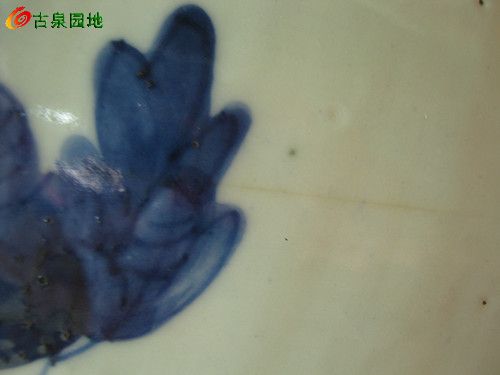 606_53421_a074740366f25fe.jpg