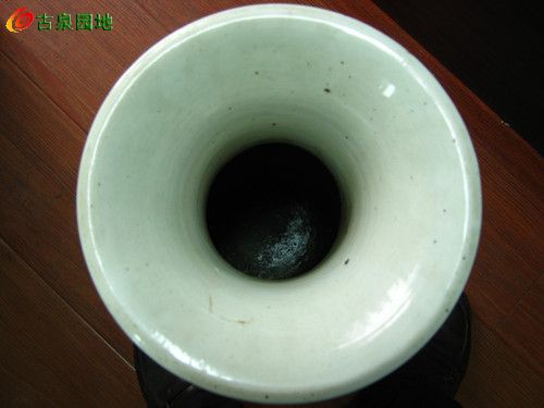 606_53421_e48899fbeeae3fe.jpg