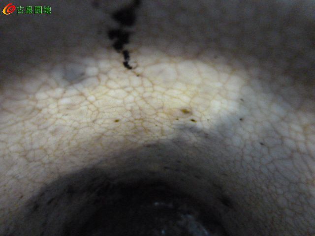 605_139053_d40412fcb0b9bd1.jpg