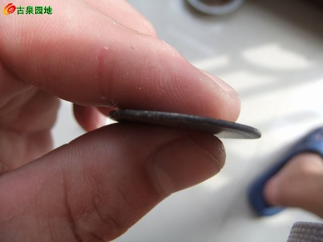 25_9839_c2cc63abe1a82ec.jpg