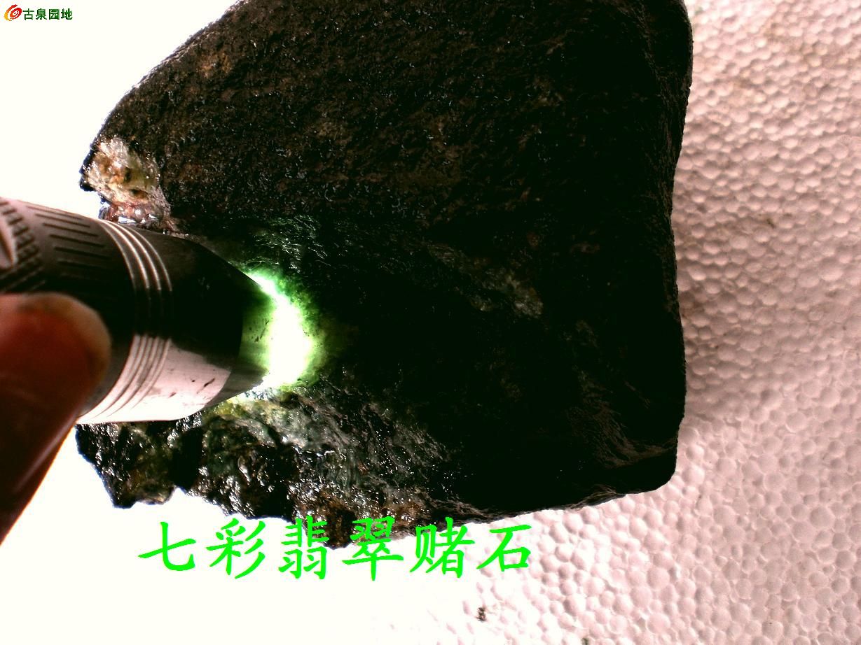 605_57447_1147761c036ab4b.jpg