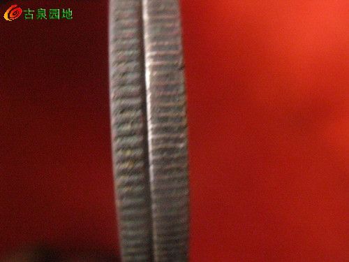 398_53421_fc6ded005e70fdb.jpg