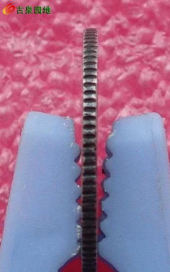 398_14922_151ec310892a9b2.jpg