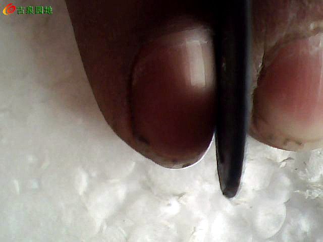 3_129726_774f91ad3cd0eaf.jpg